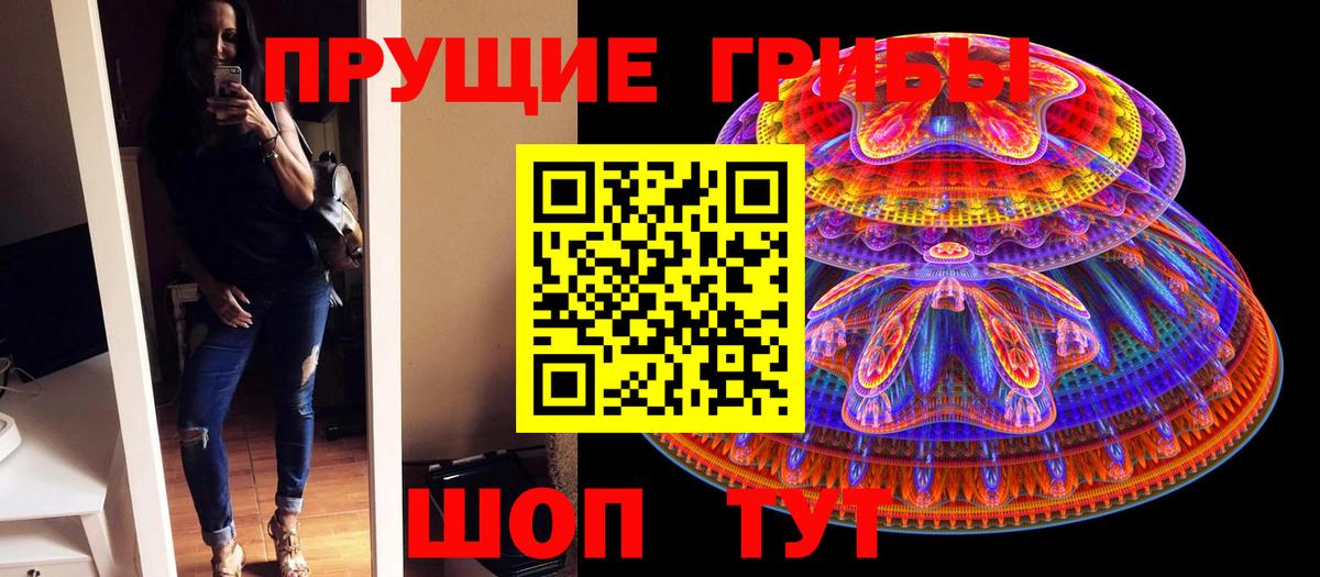 Псилоцибиновые грибы Cubensis  Вход с VPN  Керчь 